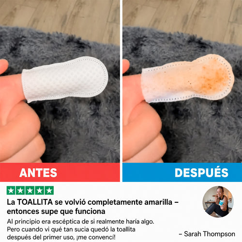 Kit Dental para Perros