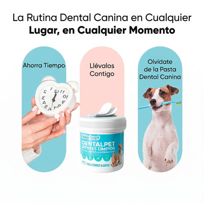 Kit Dental para Perros