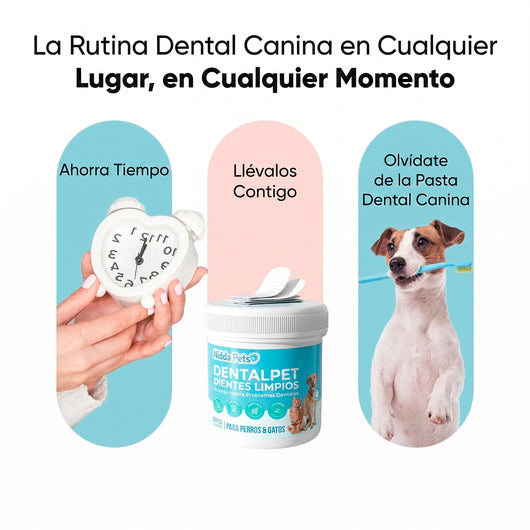 Kit Dental para Perros