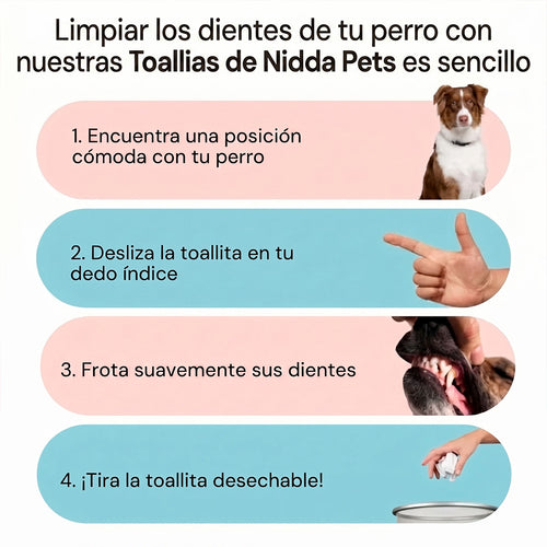 Kit Dental para Perros