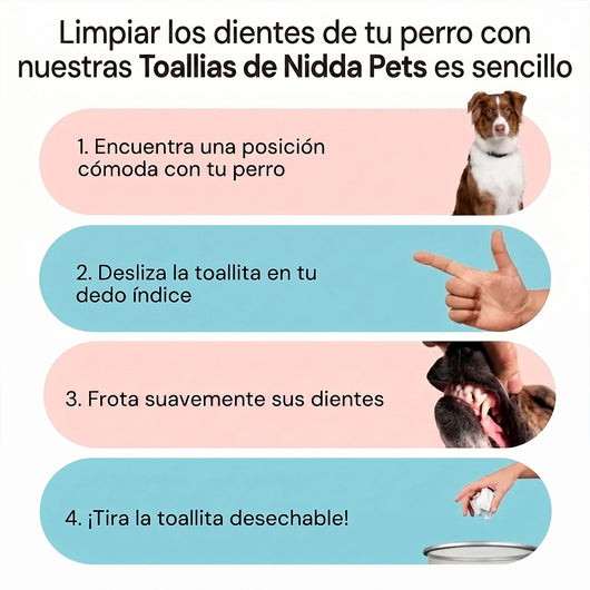 Kit Dental para Perros